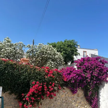 Dona Ana Residencial بيت ريفي